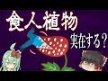 【ゆっくり解説】実在する!? 人を食べる食人植物【食虫植物TV】