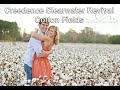 Creedence Clearwater Revival   Cotton Fields（Lyrics）