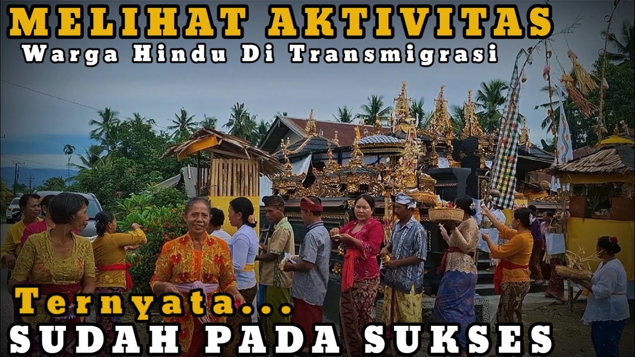 Sudah Pada Sukses, Beginilah Aktivitas Warga Hindu Kampung Bali diTransmigrasi Sulawesi Luwu Timur
