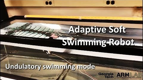 Adaptive Soft Modular Swimming Robot with Interesting Swimming Modes