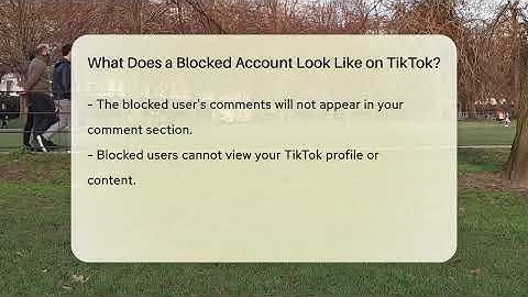 What Does a Blocked Account Look Like on TikTok? - Everyday-Networking