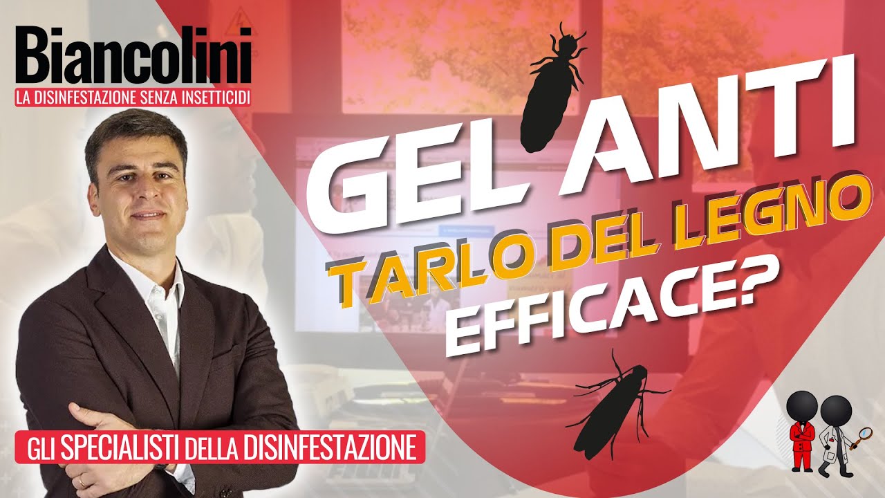 Gel anti tarlo del legno: un rimedio davvero efficace contro il ... Rimedi contro i tarli