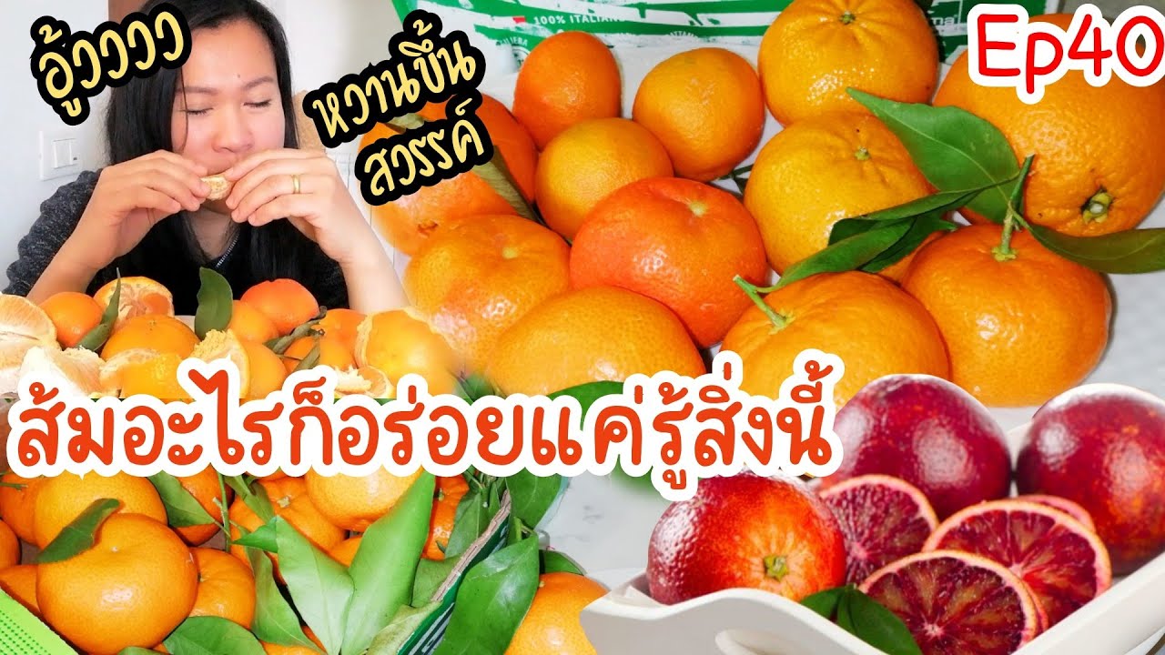 สายพันธุ์ส้ม  2022  พาชิมส้มหลากสายพันธุ์​ในอิตาลี่​ เลือกซื้อส้มเคล็ดลับง่ายๆได้กินส้มดีๆแน่นอน​