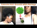 Double Hair Growth With Moringa || Your Hair Will Grow Like Crazy||Stop hair fall