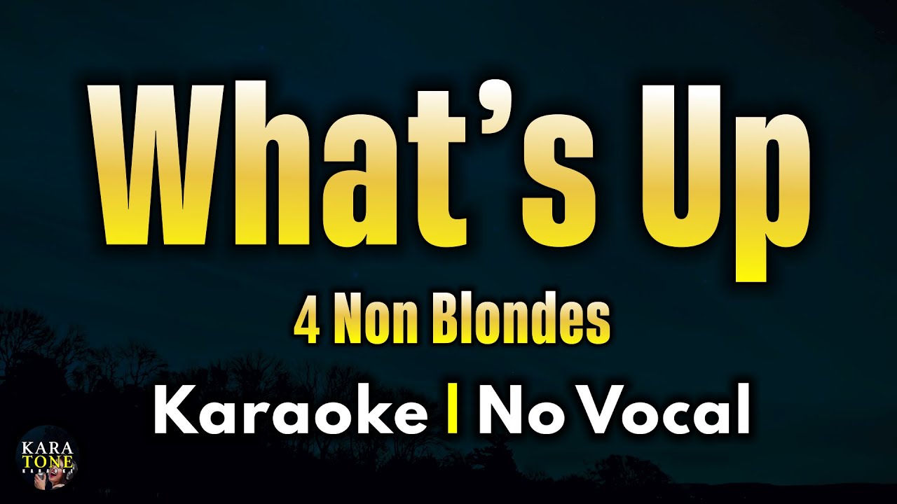 What's Up - 4 Non Blondes | Karaoke Version (No Vocals)