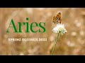 Aries ♈️ Huge new opportunity that leads to wealth and stability. Are you willing to start over?