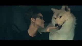 Billboard Hot 100 (Top Ten) [2008/10/25]