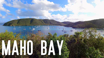 St John - Maho Bay 2022