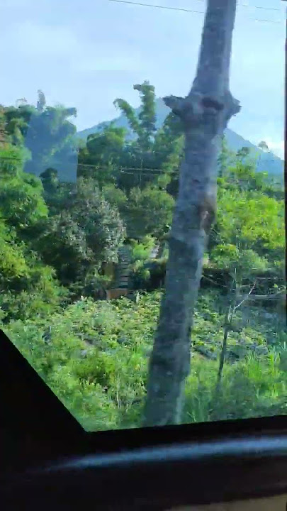 Parakan memang beda❗View gunung dan ladang bikin betah memandang 💚 #parakan #gunung #keren #indah #1