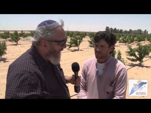 Israeli Farmers on the Gaza and Egypt Border