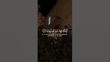 سَلَامٌ عَلَىٰ نُوحٍ فِي الْعَالَمِين.. القارئ: ياسر ممدوح #سورة_الصافات
