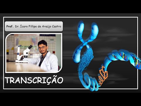 Vídeo: Qual é a função de Tfiih no complexo de iniciação da transcrição?