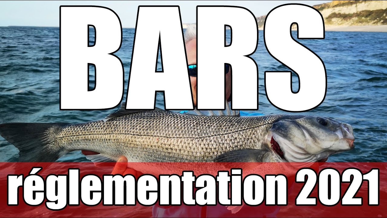 Reglementation 2021 De La Peche Au Bar Youtube
