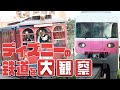 ディズニーの究極の楽しみ方を大公開!