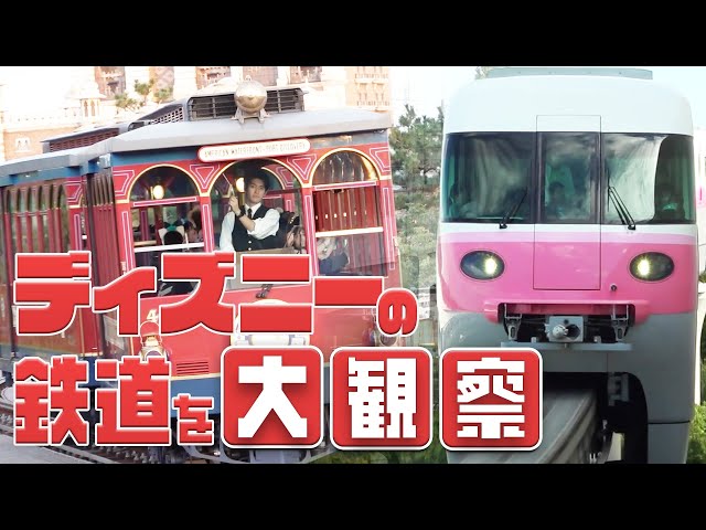 The ultimate way to enjoy Disney is revealed! - YouTube