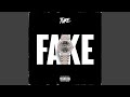 Fake Fake