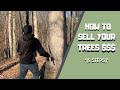How to sell your trees