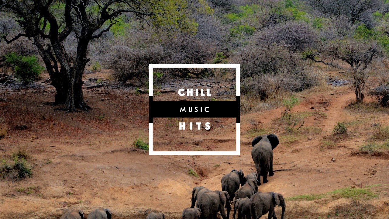 deep blue sea 3 Felonius ℭhino - Get It On (Prod.Keem the Cipher) | Chill music hits 🏆