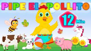 Mix Canciones Infantiles con Pipe el Pollito - Vocales, Números, Colores , Abejita y más.. screenshot 5