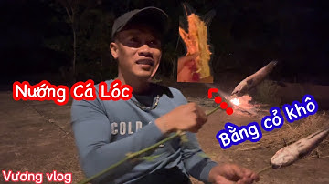 Xiệt Cá | Kích Cá -Cá Lóc Đồng Nướng Cỏ Siêu Độc Lạ / so many big fish