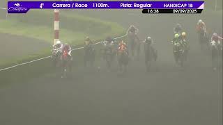 Vidéo de la course PMU I DIVISION DE EJERCITO