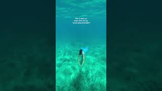 Download Lagu Alexa, play “Under the Sea” by the Little Mermaid 🧜‍♀️  #mermaid #mermaidlife #underthesea MP3