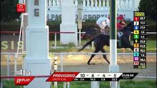 Vidéo de la course PMU MONROE H.