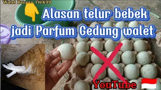  Cara Pisahkan Putih Telur Bebek Untuk Parfum Gedung Walet Apakah Alasannya