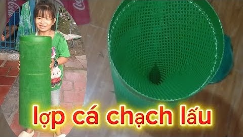Lợp đặc cá chạch lấu siêu bền 