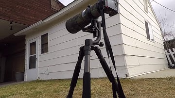 Calibrating Nikon 500mm Lens using D500 built in Fine Tune