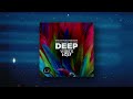 Deep vibes vol9  selected  mixed by fer ferrari deepclass records