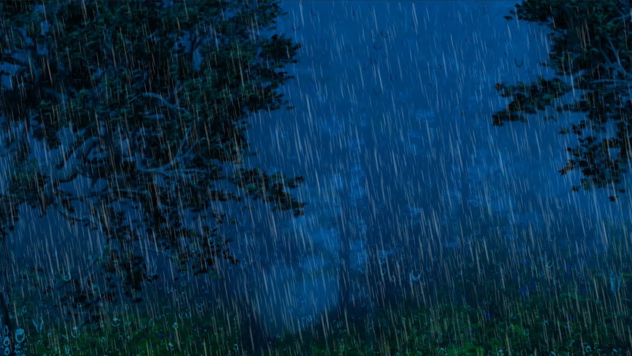 SOM DE CHUVA LENIENTE na Floresta Nublada💤 BARULHO DE CHUVA LENIENTE PARA DORMIR e Acalmar