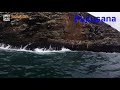 TIENES QUE VERLO 😱😱😱 SE PARECE A LA  PELICULA  KONG: LA ISLA CALAVERA UBICADA EN  PERU.