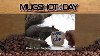 Mugshot of the Day - Garland