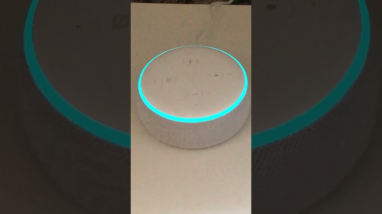 Alexa talking in Hindi. Value of Pi. Funny Alexa