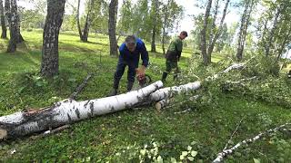 Поездка на ГАЗ-63 за дровами,рубим лес щепки летят.