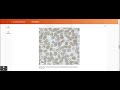 13.3 Protists - Concepts of Biology | OpenStax