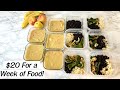 How to Eat for $20 a Week! Extreme Budget Plant Based Meals