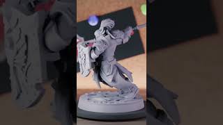 5e Paladin | DnD Paladin Human Aurora Miniature
