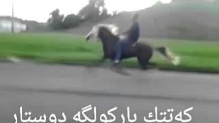 Самая быстрая лошадь в мире The fastest horse in the world(, 2015-10-21T09:11:05.000Z)