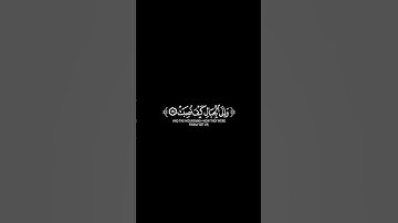 أفلا ينظرون الى الابل كيف خلقت#عبدالرحمنمسعد #عبدالرحمن_مسعد #سورة_الغاشية #قرآن #القرآن_الكريم