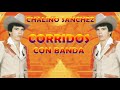 Chalino sanchez corridos con banda  25 exitos