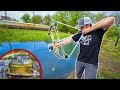 BULLFROG Bowfishing in TINY CREEK!!! (Lucky Shot) - Catch Clean Cook