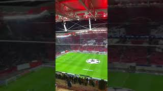 RB Leipzig vs. Crvena Zvezda - 10/25/2023 Condensed Game 