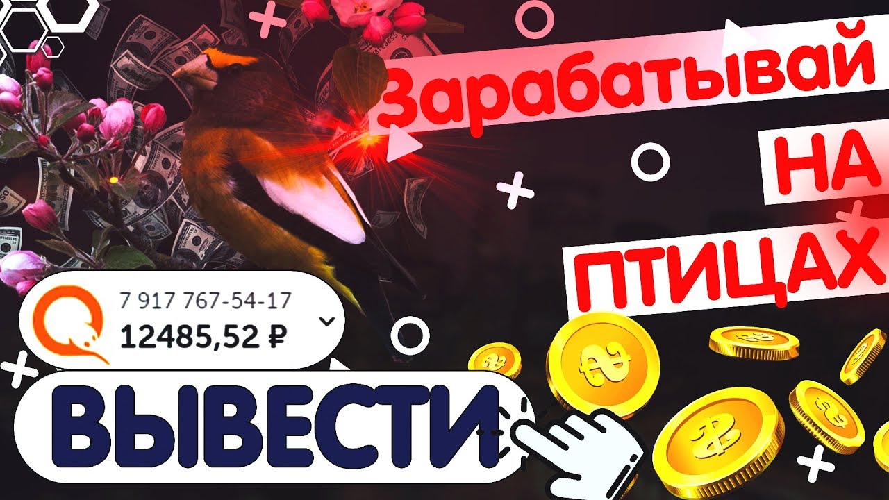 Игра заработай миллион. Как заработать на птицах.