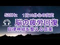 【528Hz 脳の休息】心の疲れを取る音楽 オリジナル曲 星が降る木