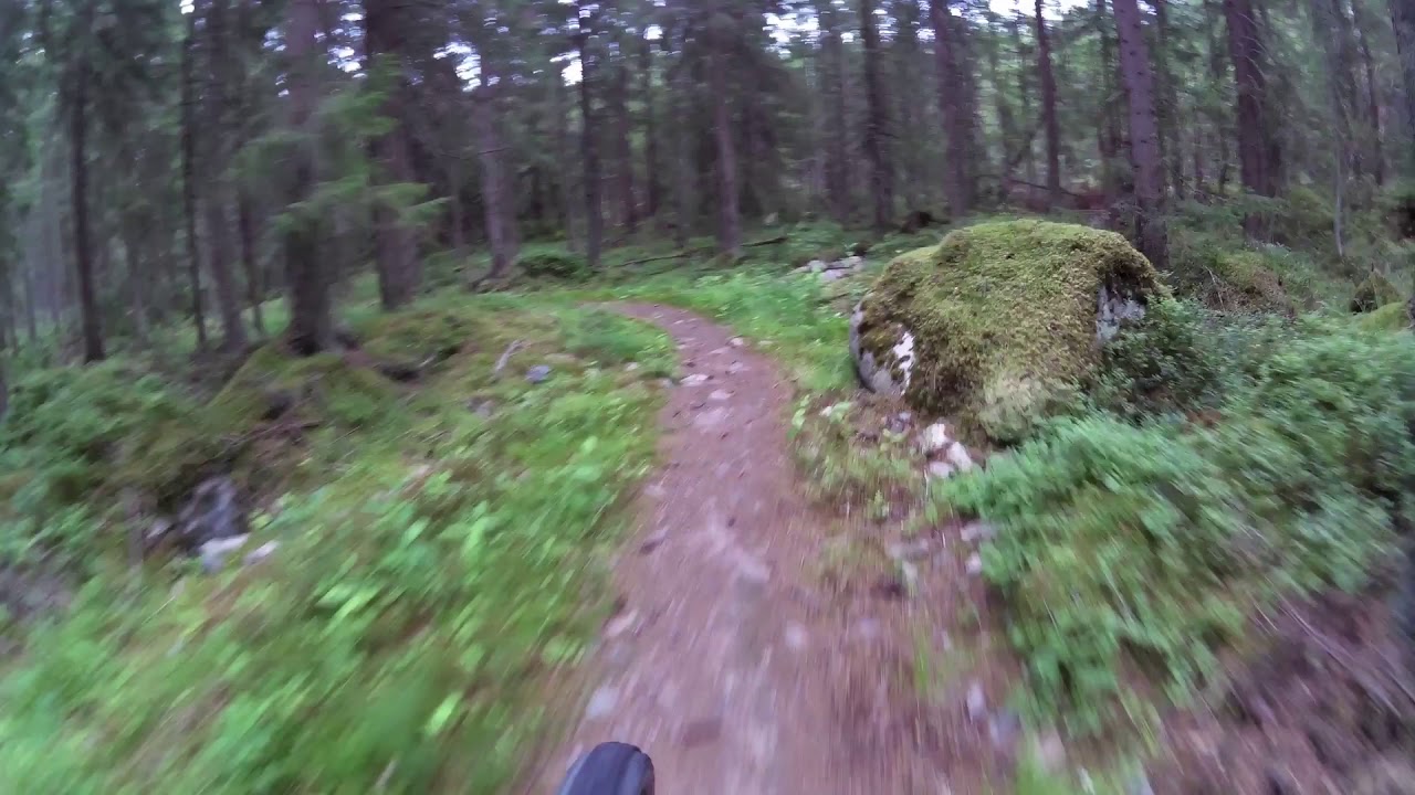 Repovesi-Mäntyharju - MTB-reitti