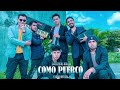LOS CHICOS DULCES - COMO PUERCO (Video Oficial)