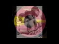 Miniature de la vidéo de la chanson Honey Chile