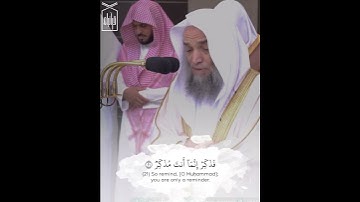 ﴿أَفَلا يَنظُرونَ إِلَى الإِبِلِ كَيفَ خُلِقَت﴾ من سورة الغاشية للشيخ فيصل غزاوي 🤍..